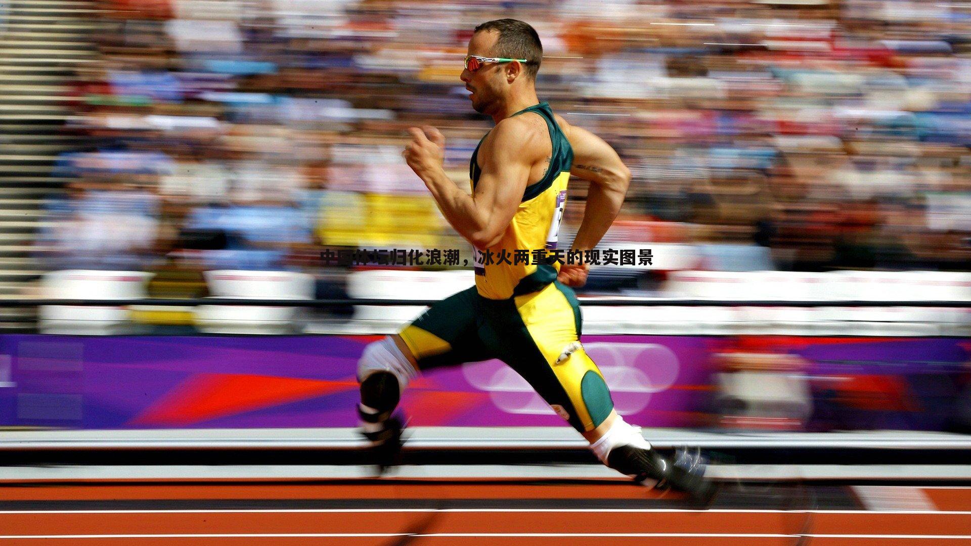 中国体坛归化浪潮,冰火两重天的现实图景