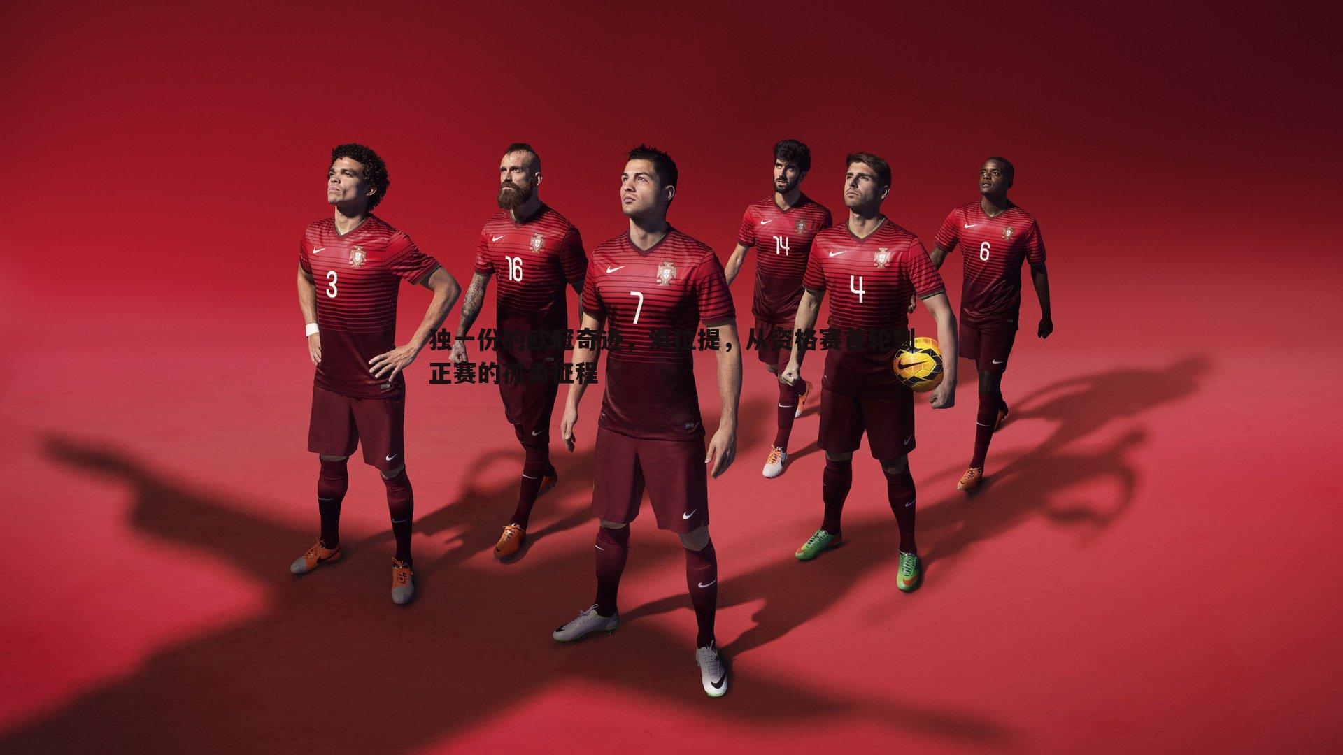 PP电子-独一份的欧冠奇迹，海拉提，从资格赛首轮到正赛的孤勇征程